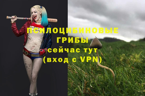 2c-b Бронницы