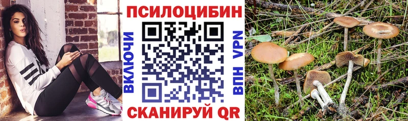 наркошоп  Джанкой  сайты даркнета состав  Галлюциногенные грибы Psilocybine cubensis 