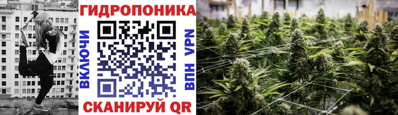 Бошки марихуана SATIVA & INDICA  Джанкой 
